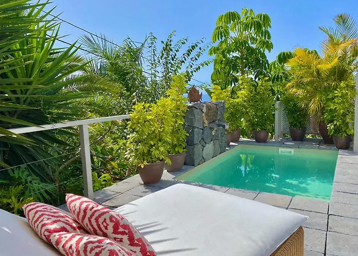 Tatil Evi Casa Plumeria, A Private Paradise With Pool. La Orotava