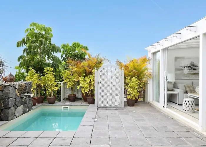 Casa Plumeria, A Private Paradise With Pool. La Orotava